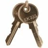 RIB® Replacement Keys KEYSET, Set Of Two, For Key Latched Metal Housings -Wiring Devices shop online RC2 KEYSET