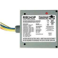 RIB® Enclosed Power Relay RIB243P, 20A, 3PST, 24VAC/DC